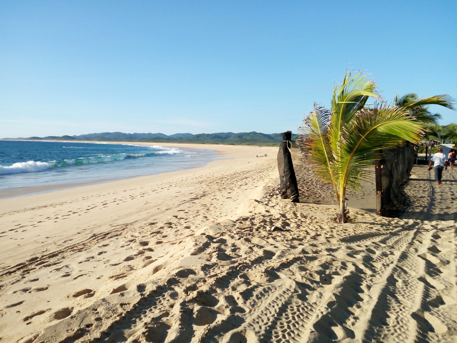 Photo of Tortuguero Mayto located in natural area