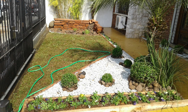 Jardineria Buenas Nuevas Produccion De Cesped