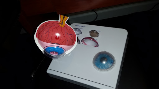 Optician «Viking Vision Center», reviews and photos, 3384 OH-752, Ashville, OH 43103, USA