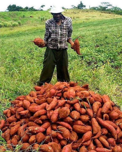 Grocery Store «D & L Groceries Inc», reviews and photos, 1005 Genesee St, Rochester, NY 14611, USA