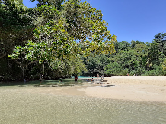 Plage de Frenchman's Cove