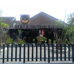 Owl’s Coffee by Matura photo