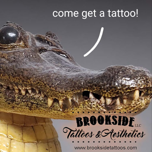 Explore small dragon tattoo ideas, creative tattoo ideas in Allentown, available at Brookside Tattoos & Aesthetics LLC