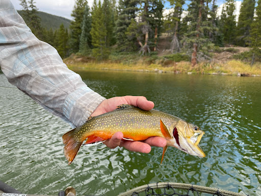 Outdoor Sports Store «Golden River Sports LLC», reviews and photos, 806 Washington Ave, Golden, CO 80401, USA