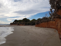 TorreBellver Nudista'in fotoğrafı çok temiz temizlik seviyesi ile