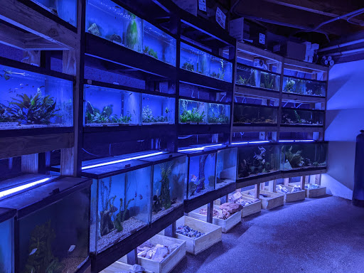 Tropical Fish Store «Austin Aqua-Dome», reviews and photos, 1604 Fortview Rd, Austin, TX 78704, USA