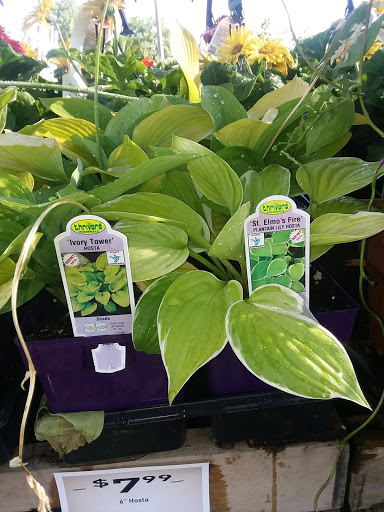 Hardware Store «Westlake Ace Hardware 080», reviews and photos, 708 S Aspen Ave, Broken Arrow, OK 74012, USA