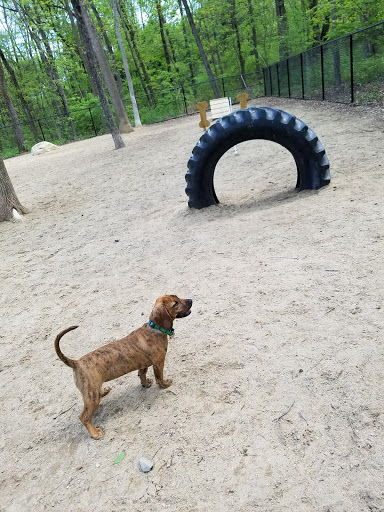 Dog Park «Andover dog park», reviews and photos, 288 High Plain Rd, Andover, MA 01810, USA