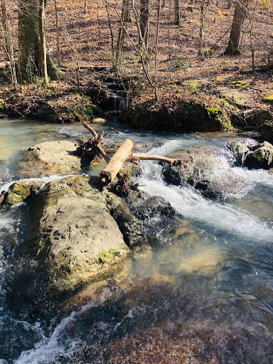 Maggie’s Glen