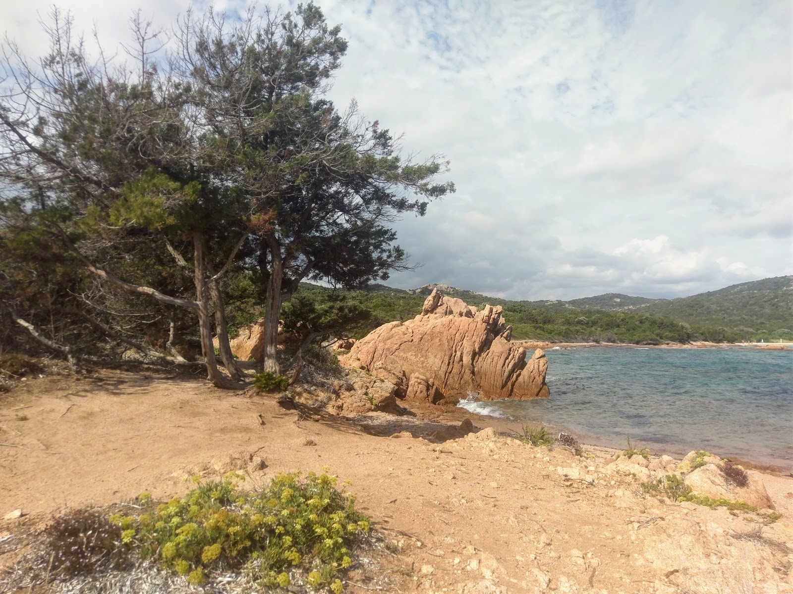 Ricci Beach'in fotoğrafı vahşi alan