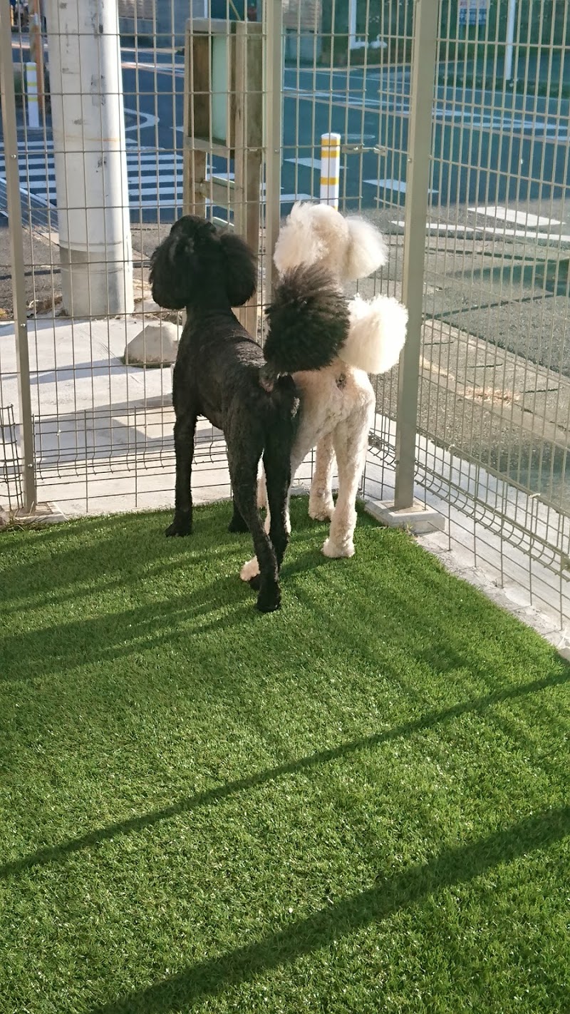 クーシー ｃｕｓｉｔｈ 千葉県富里市七栄 トリミングサロン グルコミ