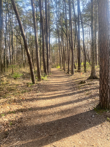 Winton Woods Fitness Trail