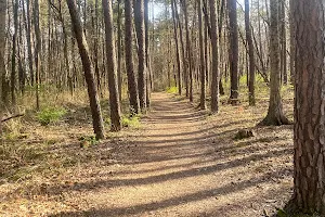 Winton Woods Fitness Trail image
