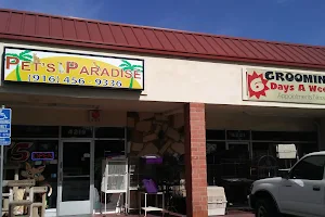 Pet's Paradise image