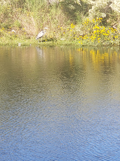 Park «Cravens Park», reviews and photos, 400 Cravens Park Dr, Arlington, TX 76018, USA