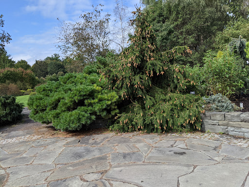 Ice Cream Shop «Cornell Dairy Bar», reviews and photos, 411 Tower Rd, Ithaca, NY 14853, USA