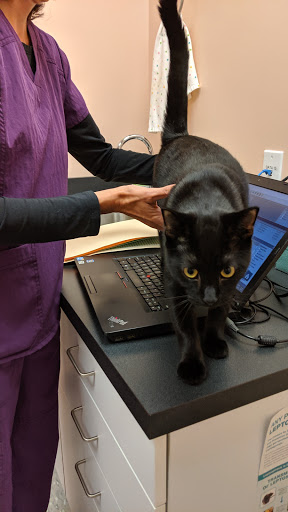 409 Cabot St, Beverly, MA 01915, USA