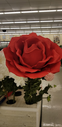 Craft Store «Hobby Lobby», reviews and photos, 2400 SW College Rd #500, Ocala, FL 34471, USA