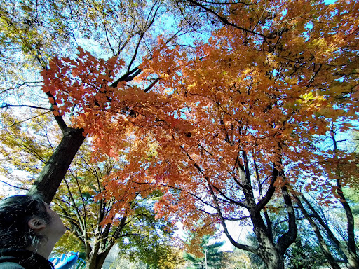 Park «Woodside Urban Park», reviews and photos, 8800 Georgia Ave, Silver Spring, MD 20910, USA