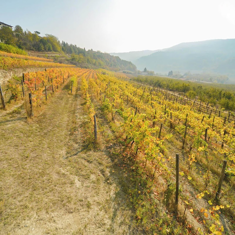 Cantina Eredi Canonica Cav. Cesare