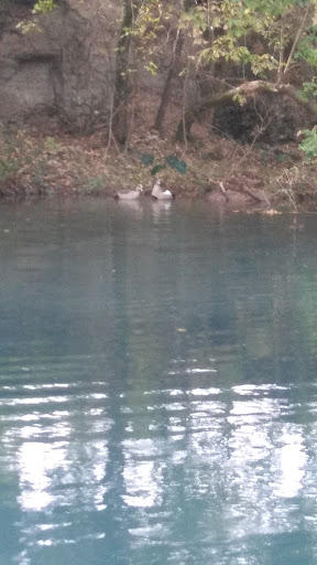 Public Golf Course «Landa Park Golf Course at Comal Springs», reviews and photos, 180 Golf Course Rd, New Braunfels, TX 78130, USA