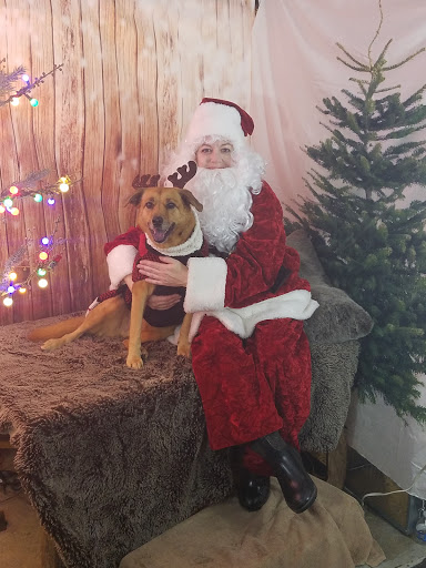 Pet Supply Store «HOWLISTIC», reviews and photos, 930 W Washington St #7, San Diego, CA 92103, USA