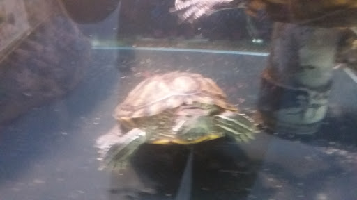 Pet Supply Store «Petco Animal Supplies», reviews and photos, 244 Pioneer Trail, Chaska, MN 55318, USA