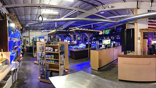 Tropical Fish Store «Elite Reef», reviews and photos, 8410 Wadsworth Blvd F, Arvada, CO 80003, USA