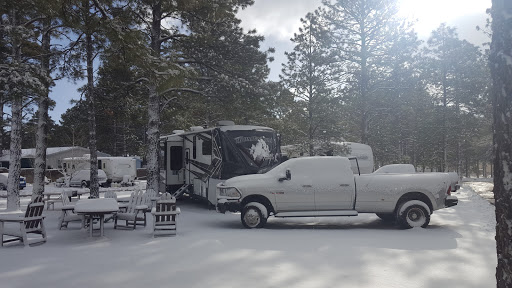 Home Improvement Store «Tractor Supply Co.», reviews and photos, 17130 E Shea Blvd, Fountain Hills, AZ 85268, USA