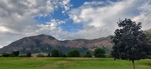 McGriff Park - photo 50