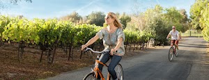 Italics Winegrowers - photo 16