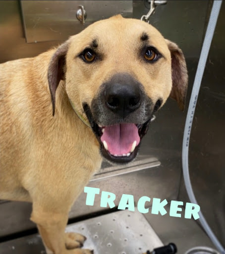 Car Wash «Quick Clean Car & Pet Wash Store, Ltd.», reviews and photos, 2500 Mayfair Rd, Akron, OH 44312, USA