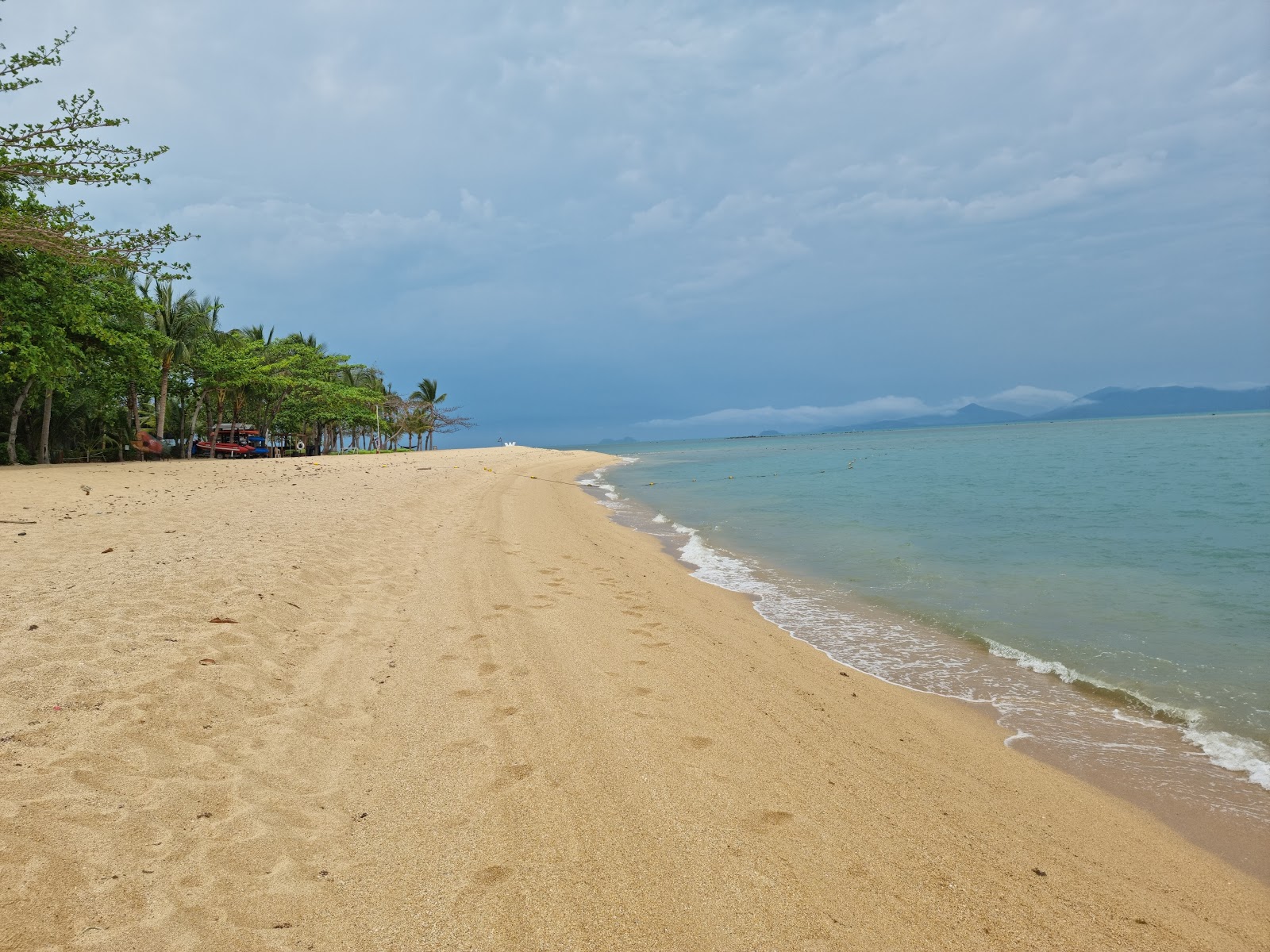 W Beach'in fotoğrafı imkanlar alanı