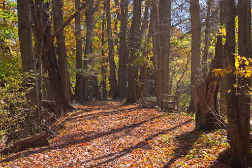 Nature Preserve «The Celery Farm», reviews and photos, Franklin Turnpike, Allendale, NJ 07401, USA