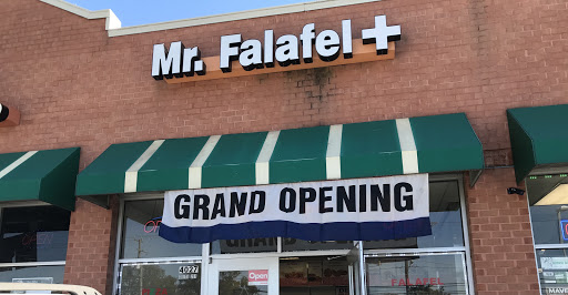 Mr Falafel Plus