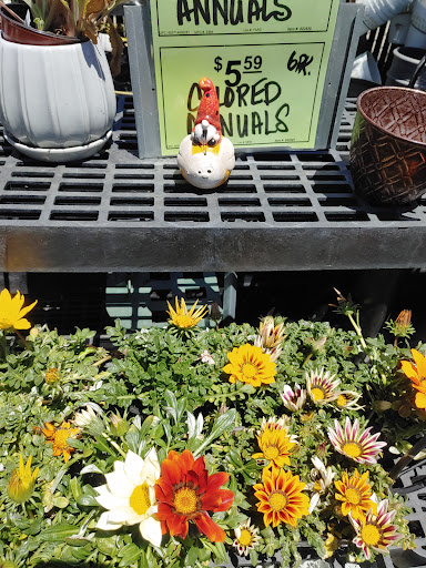 Hardware Store «Laurel Ace Hardware», reviews and photos, 4024 MacArthur Blvd, Oakland, CA 94619, USA