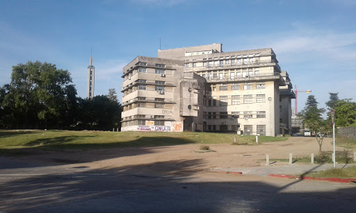 Clinicas universitarias Montevideo