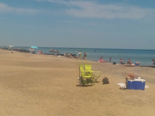 Doll Restoration Service «Doll Hospital & Toy Soldier Shop», reviews and photos, 3947 Twelve Mile Rd, Berkley, MI 48072, USA