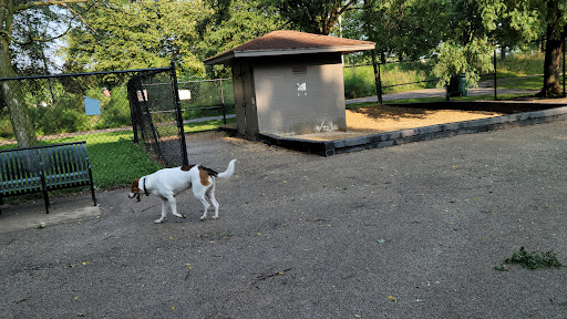 River Park Dog Friendly Area Chicago