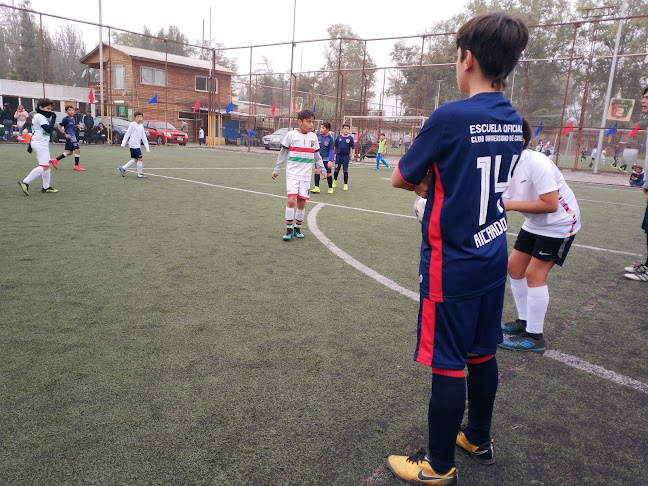 Opiniones de Escuela de Fútbol Universidad de Chile La Pintana en La Pintana - Escuela