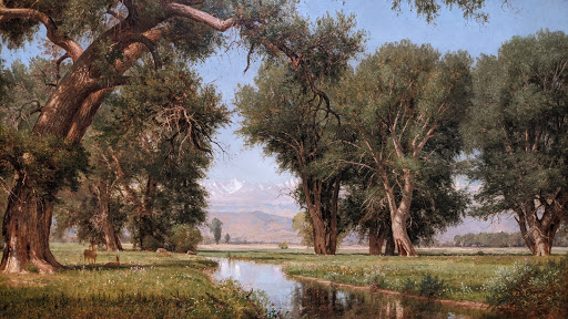 Museum «Amon Carter Museum of American Art», reviews and photos, 3501 Camp Bowie Blvd, Fort Worth, TX 76107, USA