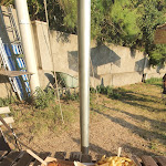 Photo n°2 de l'avis de Luca.u fait le 17/07/2020 à 14:13 sur le  Il Polpo Marino à Baratti