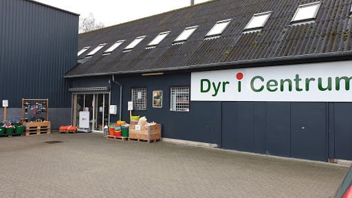 Dyr I Centrum in Roskilde, Roskilde