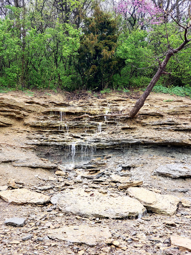 Park «Trammel Fossil Park», reviews and photos, Tramway Dr, Sharonville, OH 45241, USA