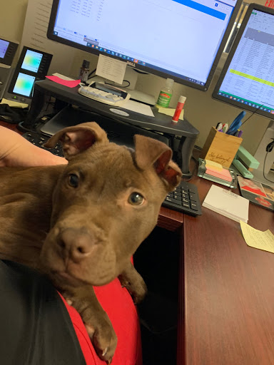 Insurance Agency «Robert Overby - State Farm Insurance», reviews and photos