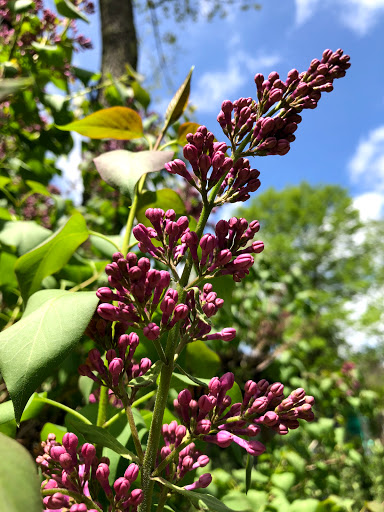 Garden Center «Stonewall Garden Center», reviews and photos, 4675 PA-447, Canadensis, PA 18325, USA