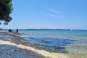 Dog beach Fasana Croatia image