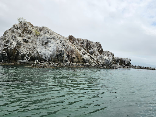 SLO.Tours image