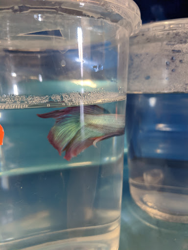 Pet Store «Marineland Pet Center», reviews and photos, 412 Oak Forest Dr, Onalaska, WI 54650, USA