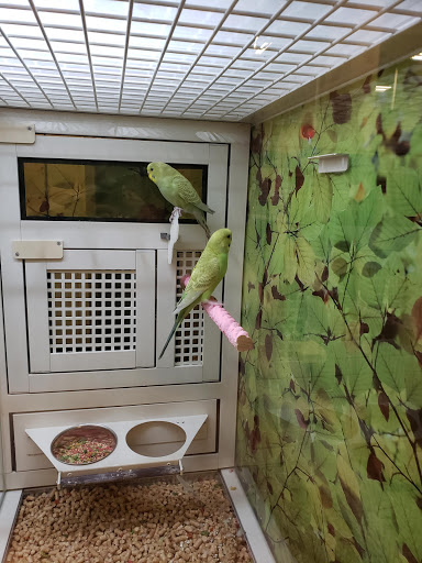 Pet Supply Store «PetSmart», reviews and photos, 9905 E Independence Blvd, Matthews, NC 28105, USA